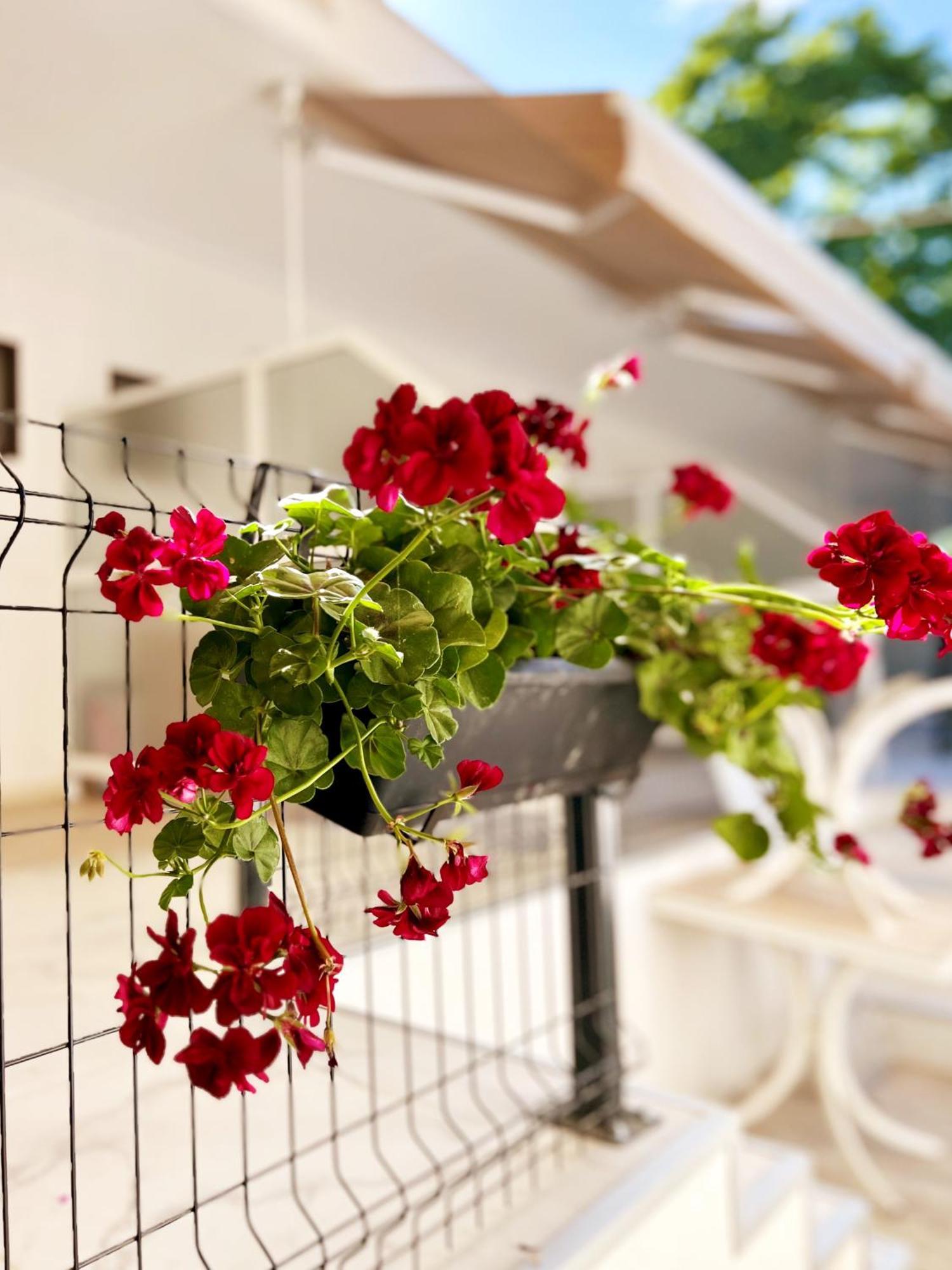 Guest House Julia Stavros  Exterior photo